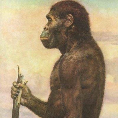 如果人类起源于非洲,为什么会有三种肤色