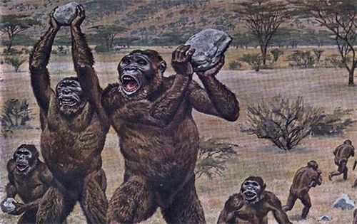 人类为何会失去 丁丁骨 ,它是身体哪个部位 是进化还是退化