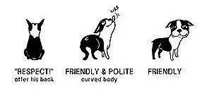 狗狗的动作语言，你知多少？尾语篇