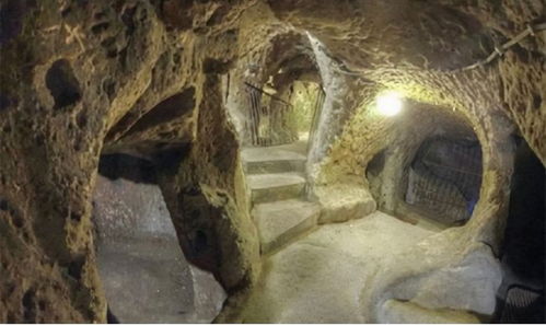 谁在22万年前的石头上刻下了手印？破解青藏高原冰凉石板之谜