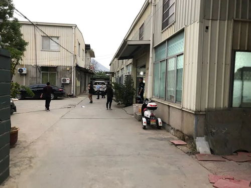 涉案超1.2亿元 你捡漏的尾单限量鞋，成本可能只需50块……